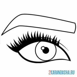Раскраска глаз и контур брови