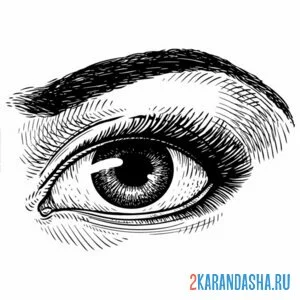 Раскраска иллюстрация глаз