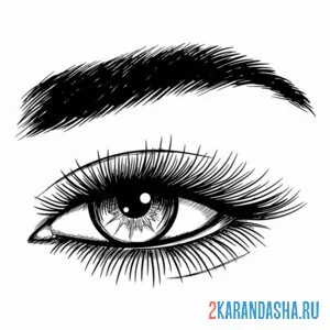 Раскраска лисий взгляд глаз