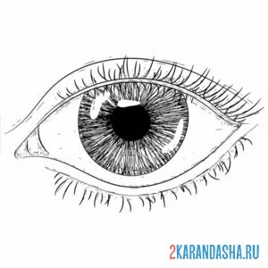 Раскраска простой глаз