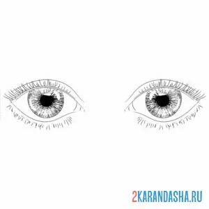 Раскраска два глаза