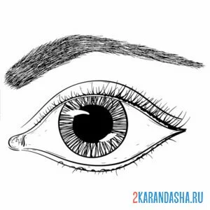 Раскраска глаз карандашом