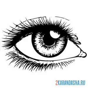 Раскраска глаз блик