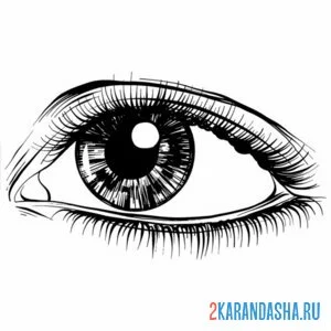 Раскраска глаз уведен