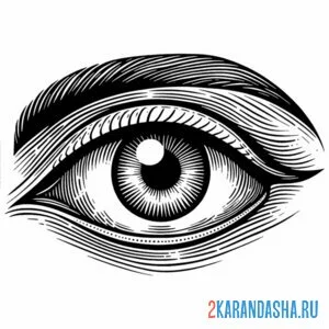 Раскраска глаз брови низки