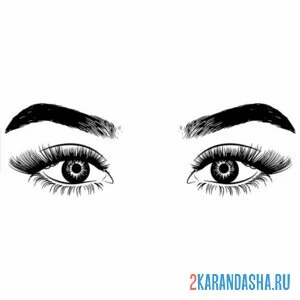 Раскраска широкие брови глаза