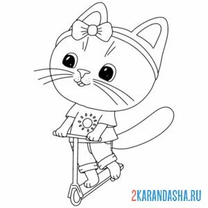 Раскраска котик на самокате