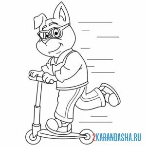 Раскраска собачка на самокате