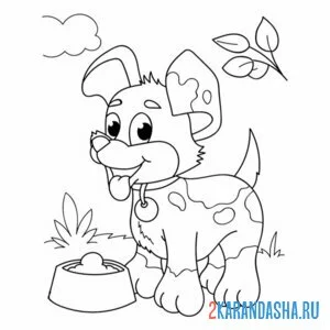 Раскраска щенок и миска