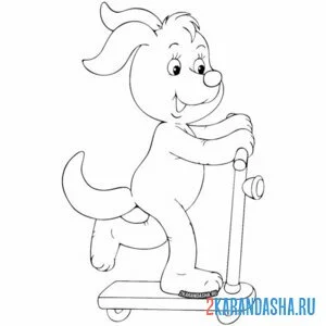 Раскраска песик на самокате
