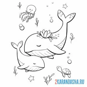 Раскраска мама кит и малыш эстетика