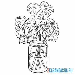 Раскраска эстетика листья в вазе