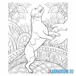 Раскраска эстетика собака