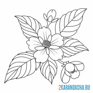 Раскраска эстетика цветочек
