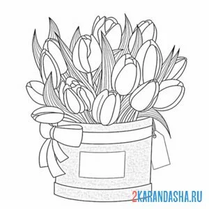 Раскраска эстетика тюльпаны