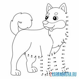 Раскраска обведи собачку