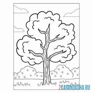 Раскраска летнее дерево