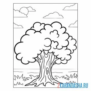 Раскраска большой дуб дерево