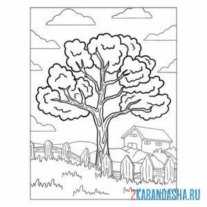 Раскраска садовое дерево