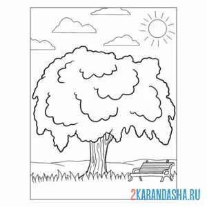 Раскраска плакучая ива дерево