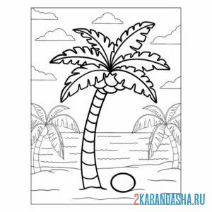 Раскраска дерево жарких стран пальма