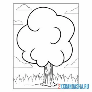 Раскраска осина дерево