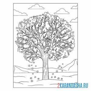 Раскраска сакура дерево цветет