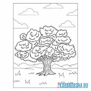 Раскраска пушистая крона дерева
