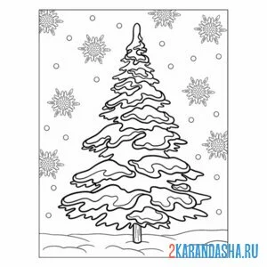 Раскраска елка сосна дерево зима