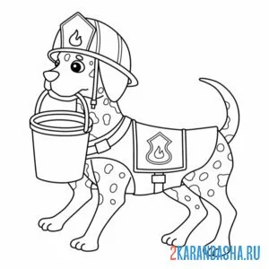 Раскраска далматин пожарный