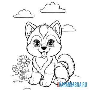 Раскраска мягкий пушистый щенок хаски