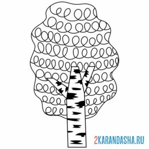 Раскраска кудрявая береза