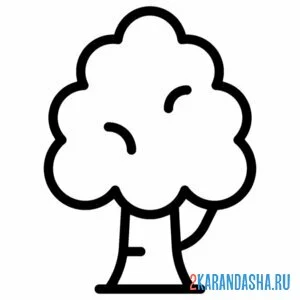 Раскраска береза для маленьких