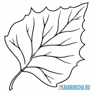 Раскраска один листок березы