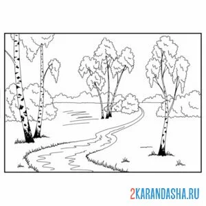 Раскраска река и березы