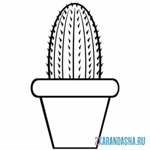 Раскраска колючий кактус и горшок