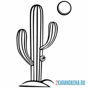 Раскраска одинокий кактус в пустыне