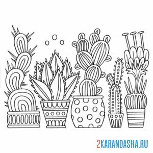 Раскраска кактусы и суккуленты