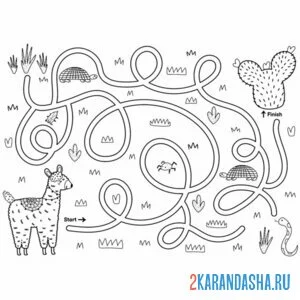 Раскраска лабиринт и кактус