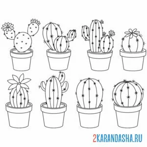 Раскраска кактусы в горшочках