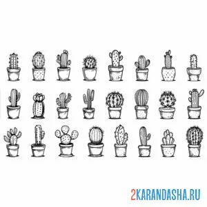 Раскраска много кактусов в горшках