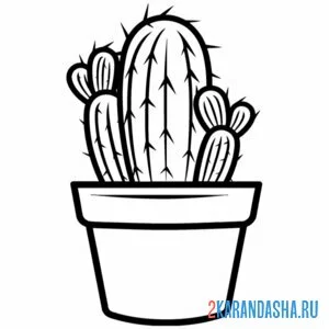 Раскраска небольшой кактус в горшке