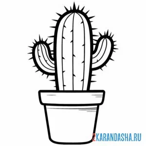 Раскраска кактус горшочный