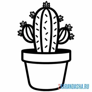 Раскраска простой кактус