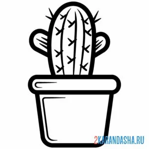 Раскраска кактус с большими иголками