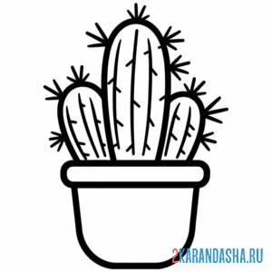Раскраска колючие кактусы
