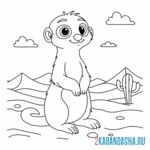 Раскраска сурикат или суслик