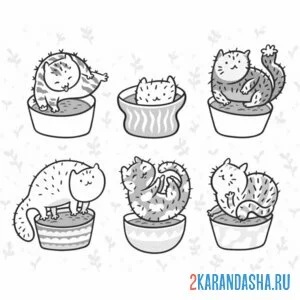 Раскраска кото-кактусы милые