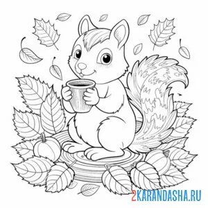 Раскраска белочка осенью пьет какао