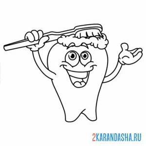 Раскраска зуб и зубная щетка